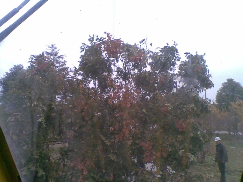 20101114.jpg