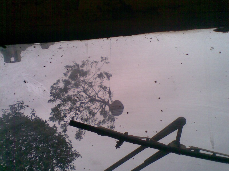 20101114_001.jpg