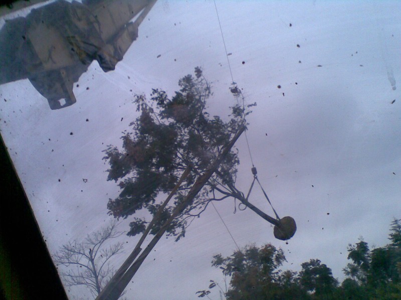 20101114_003.jpg