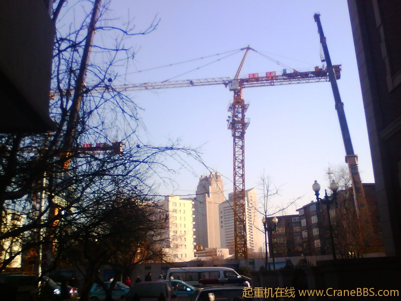 IMG0953A.jpg