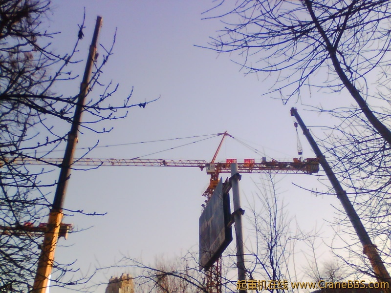 IMG0957A.jpg