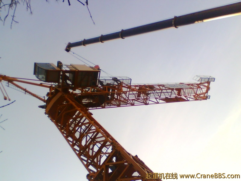 IMG0980A.jpg