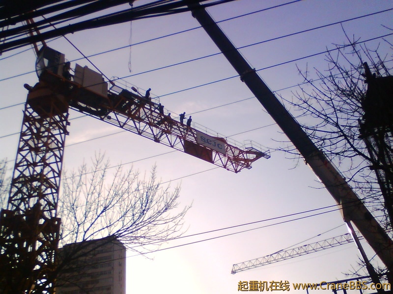 IMG0981A.jpg
