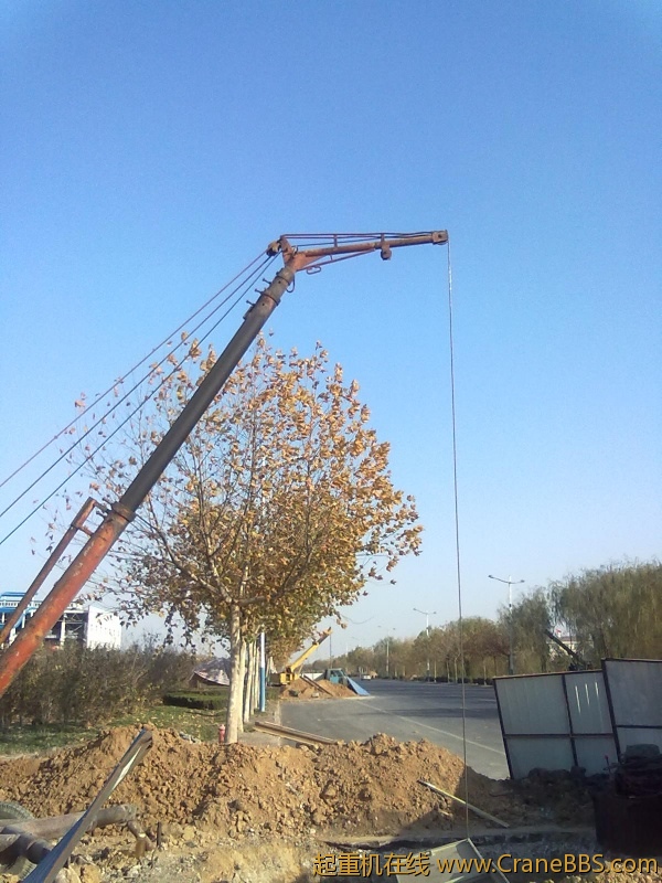 20101122001.jpg