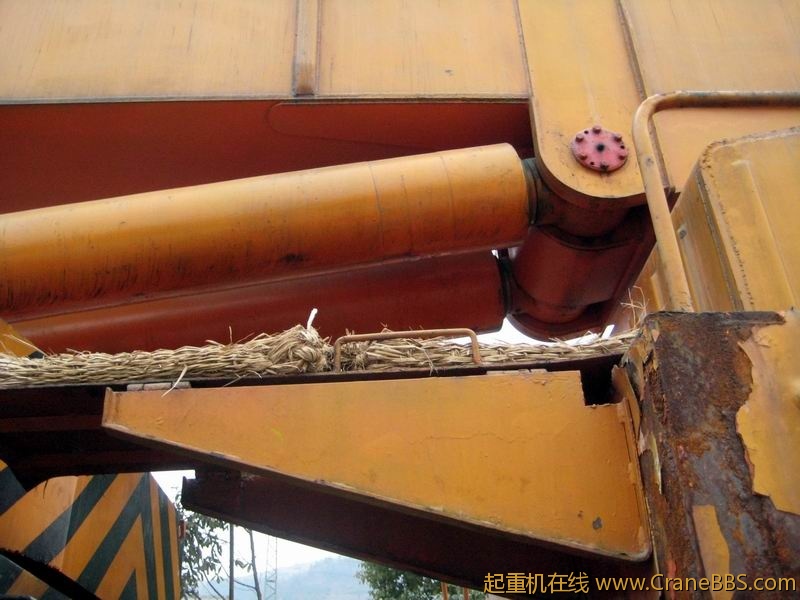 调整大小 IMG_6265.JPG