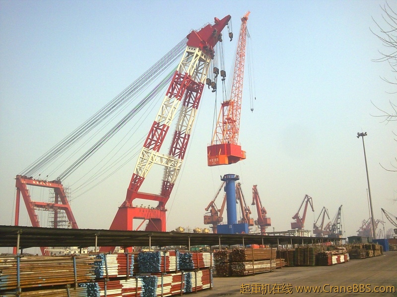 图片015.jpg