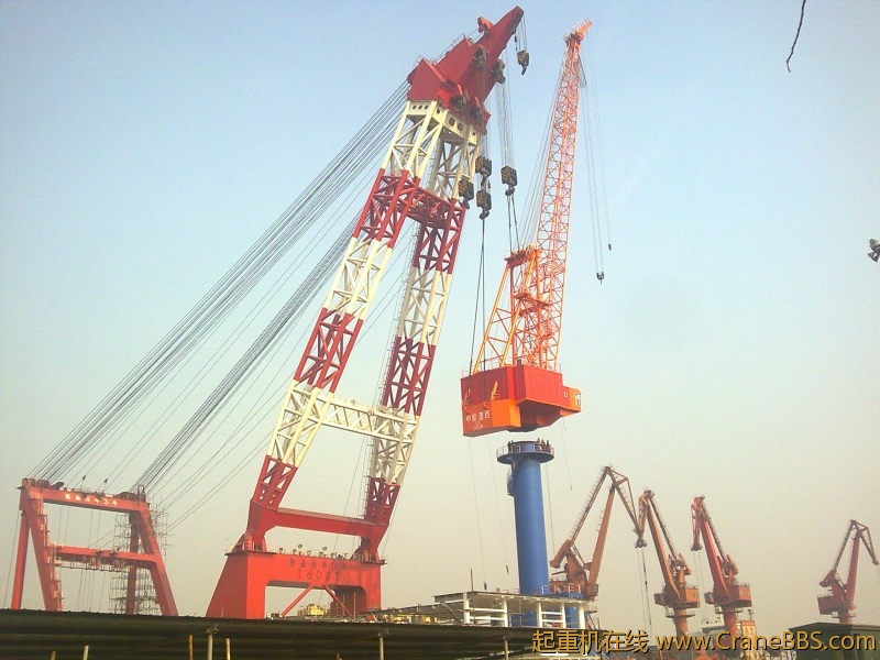 图片016.jpg