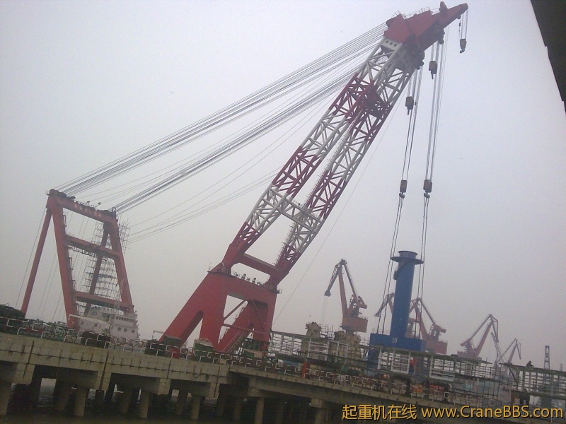 图片008.jpg