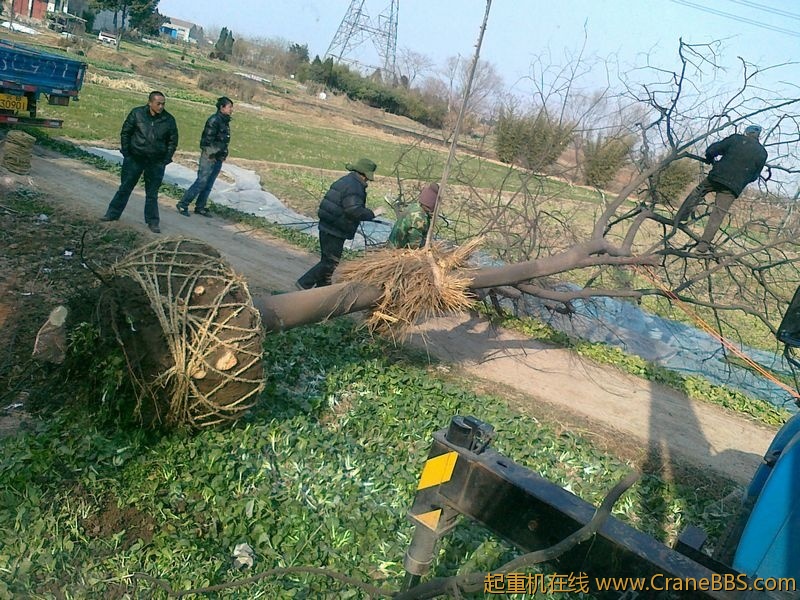 20110115496.jpg