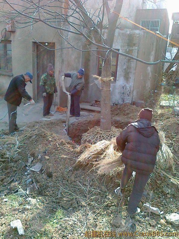20110115491.jpg