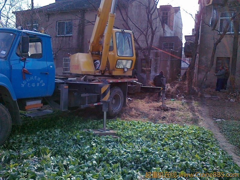 人家的菜地哈哈