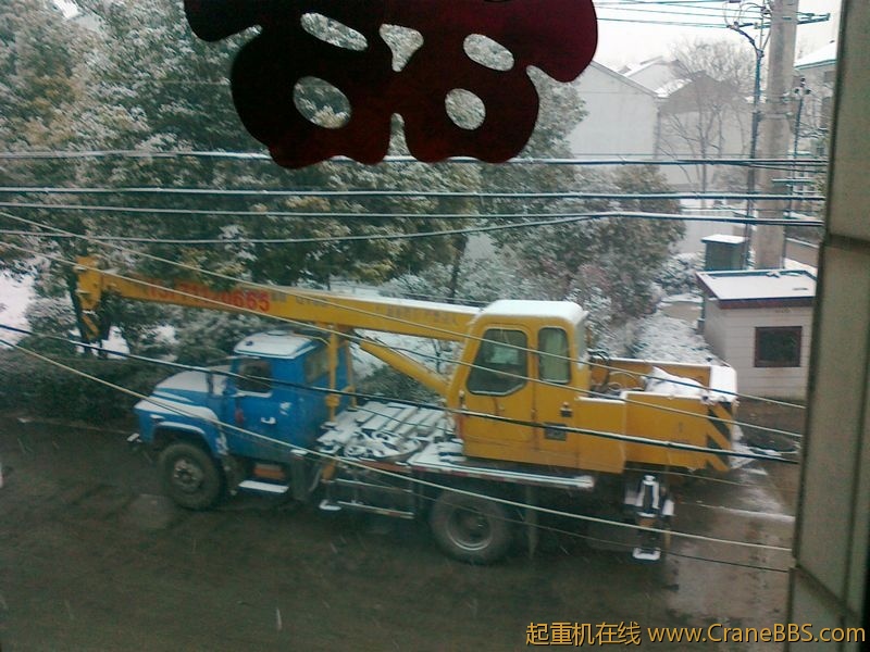 20110119503.jpg