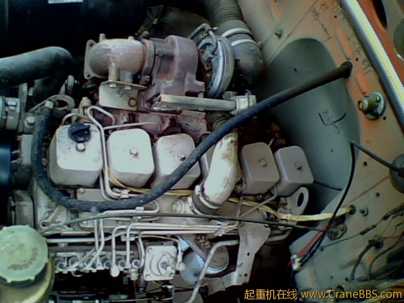 IMG0061A.jpg