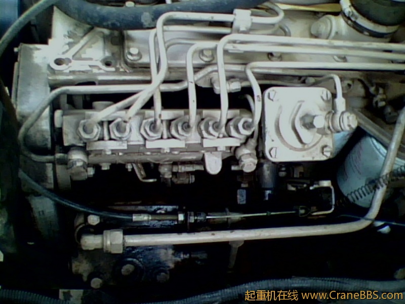 IMG0087A.jpg