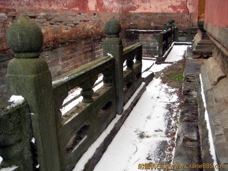 调整大小 IMG_6415.JPG