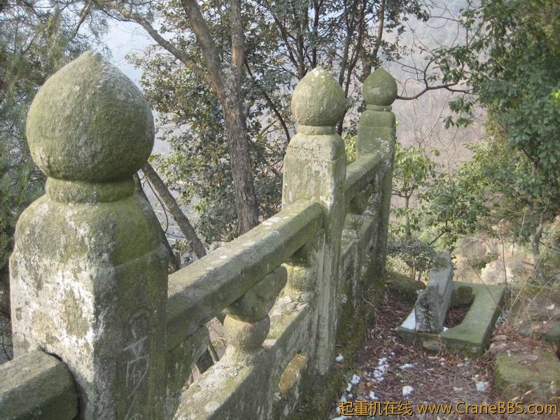 调整大小 IMG_6584.JPG