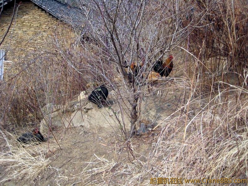 调整大小 IMG_6591.JPG