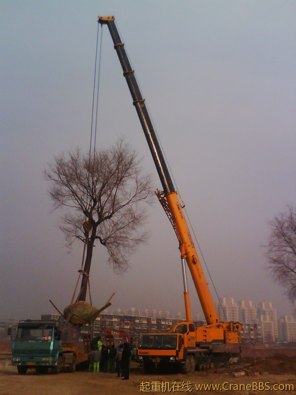 IMG0997A.jpg