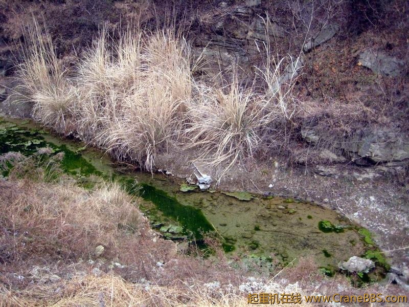 调整大小 IMG_6286.JPG