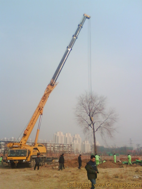 IMG1050A.jpg