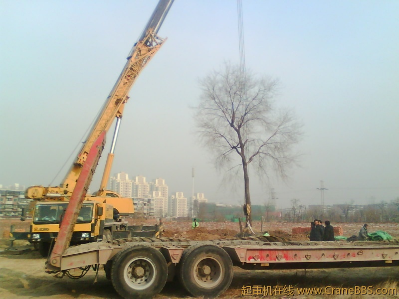 IMG1054A.jpg