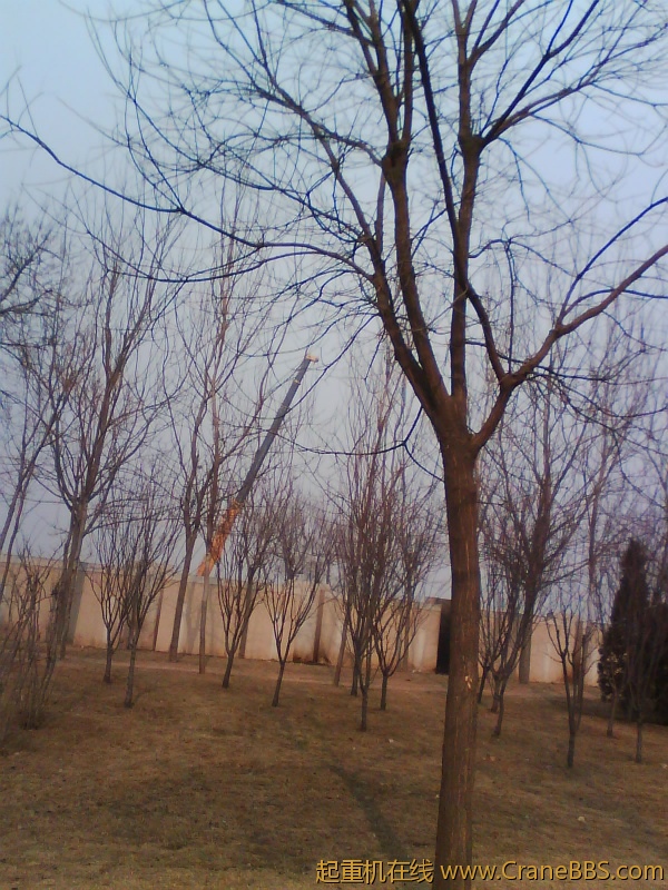 IMG0994A.jpg
