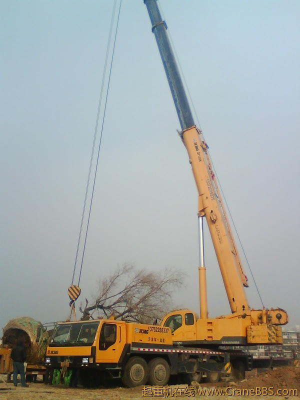 IMG1017A.jpg