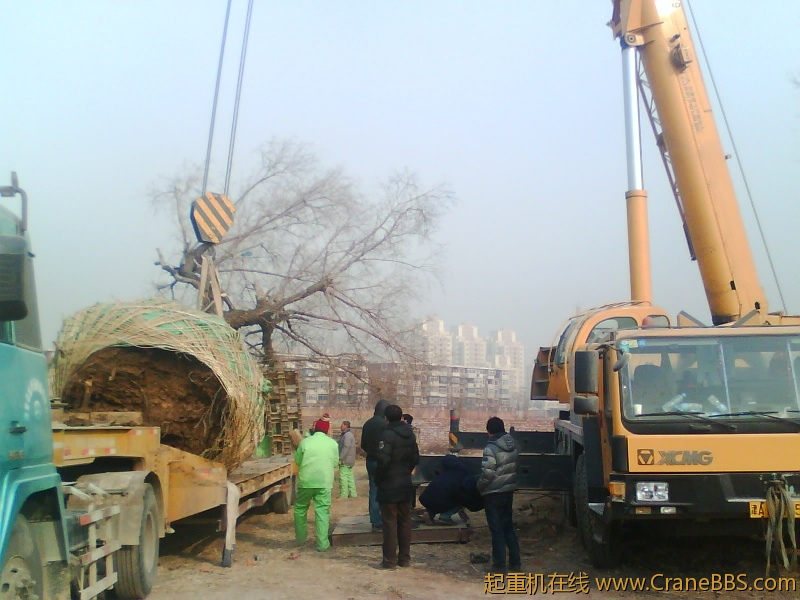 IMG1020A.jpg