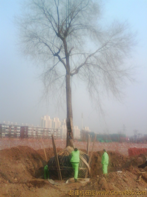 IMG1056A.jpg