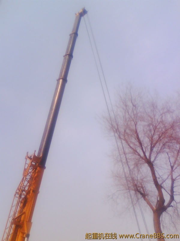 IMG1057A.jpg