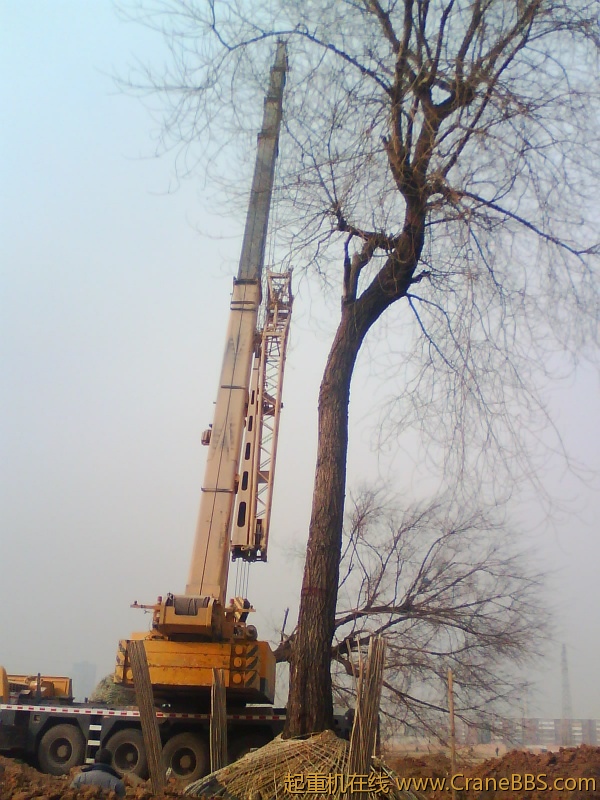 IMG1013A.jpg