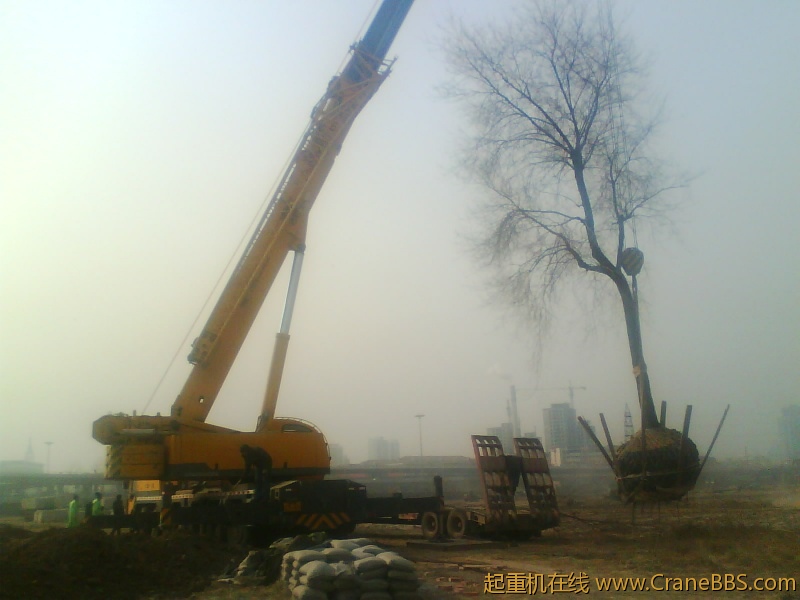 IMG1073A.jpg