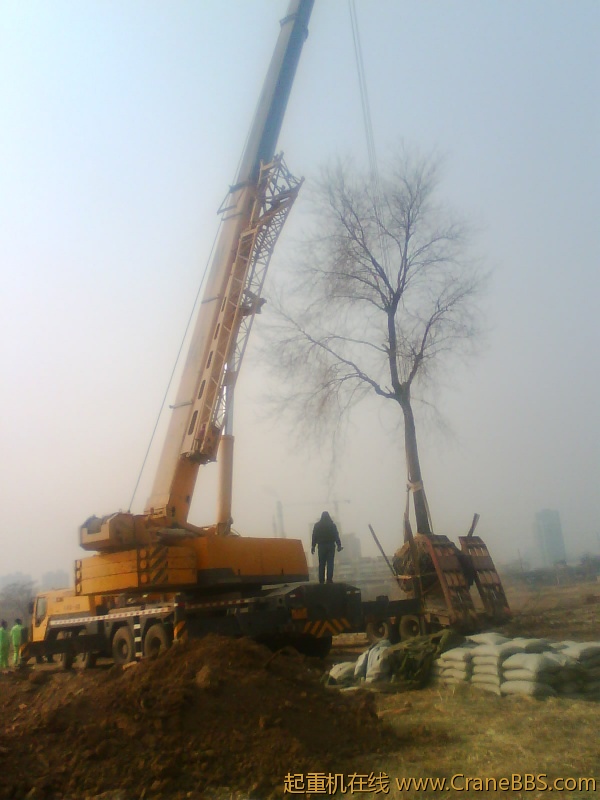IMG1074A.jpg