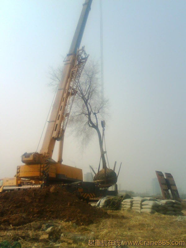 IMG1075A.jpg