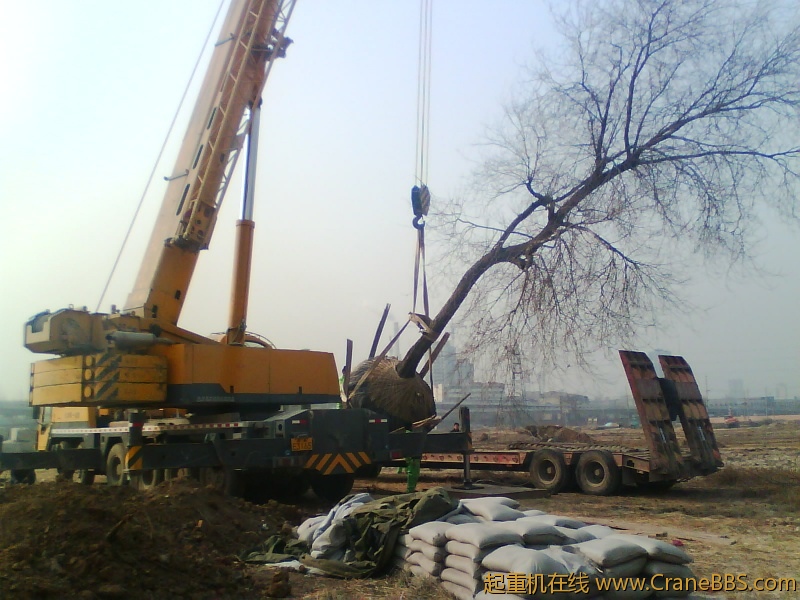 IMG1077A.jpg