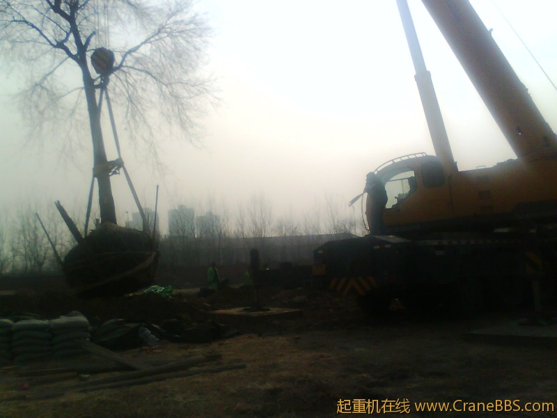 IMG1069A.jpg