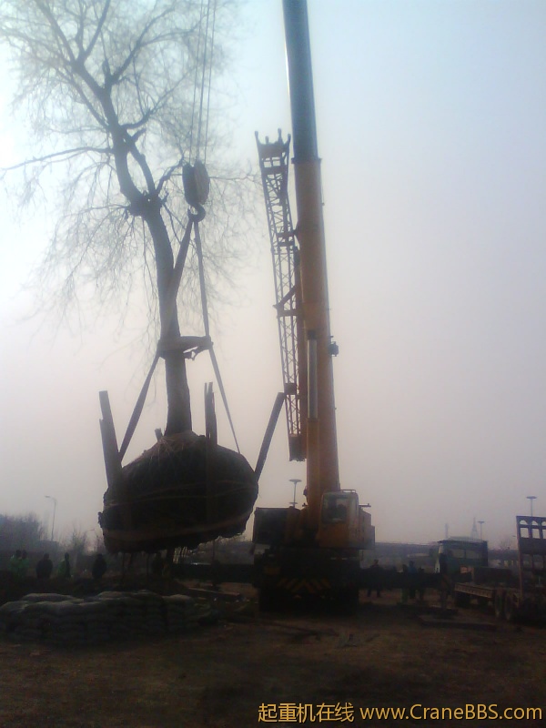 IMG1071A.jpg