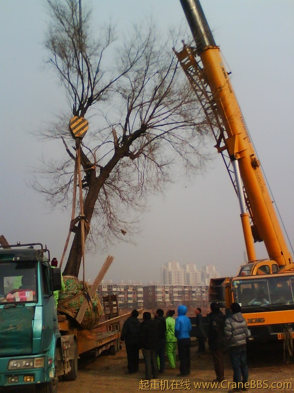 IMG1001A.jpg