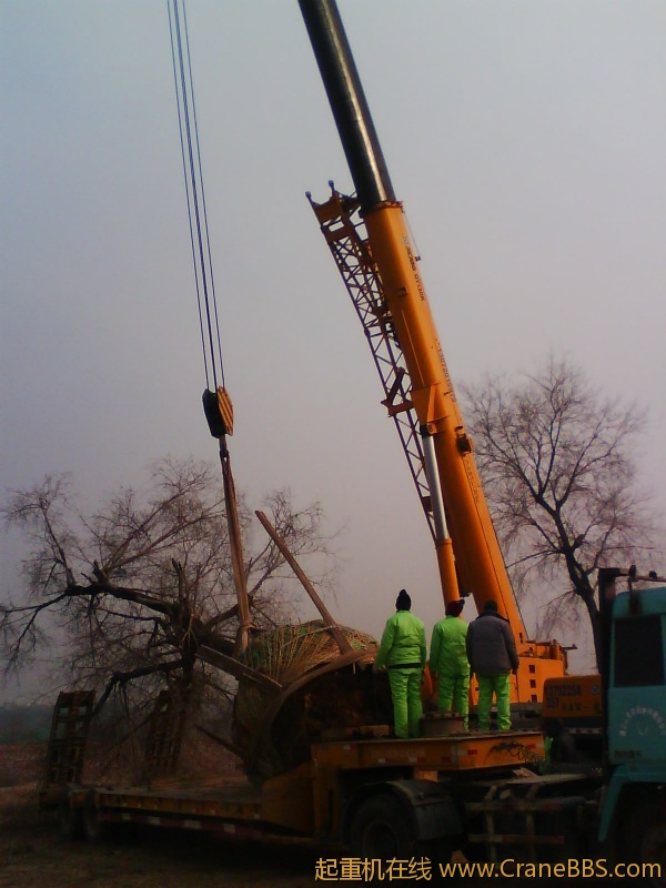 IMG1002A.jpg
