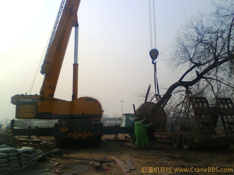 IMG1079A.jpg