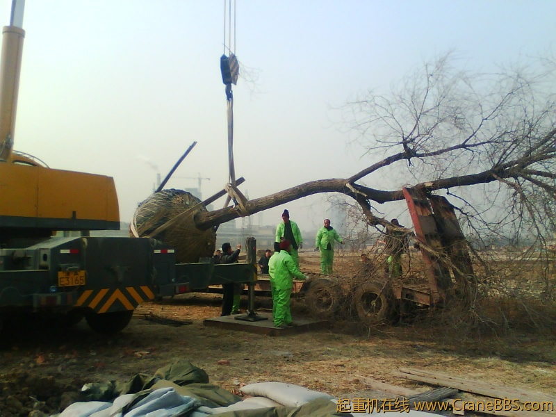 IMG1081A.jpg