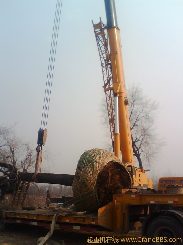 IMG1036A.jpg