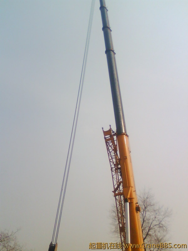 IMG1037A.jpg