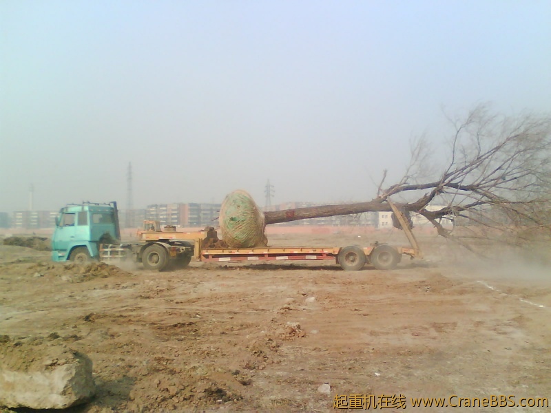 IMG1049A.jpg