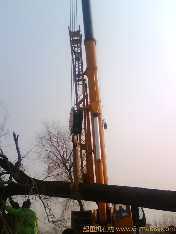 IMG1042A.jpg