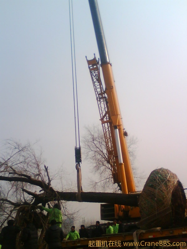 IMG1043A.jpg