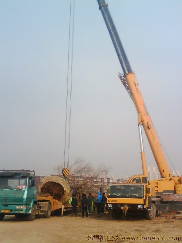 IMG1044A.jpg