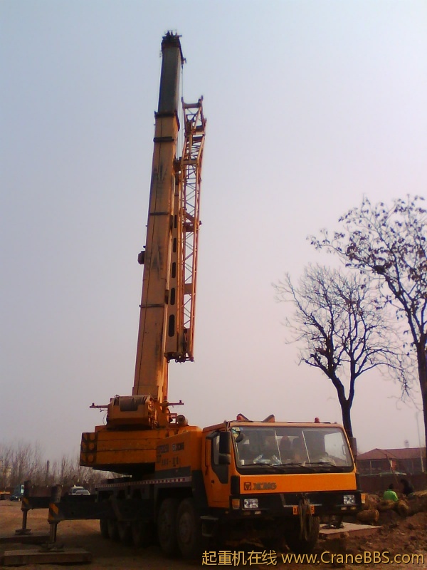 IMG1137A.jpg
