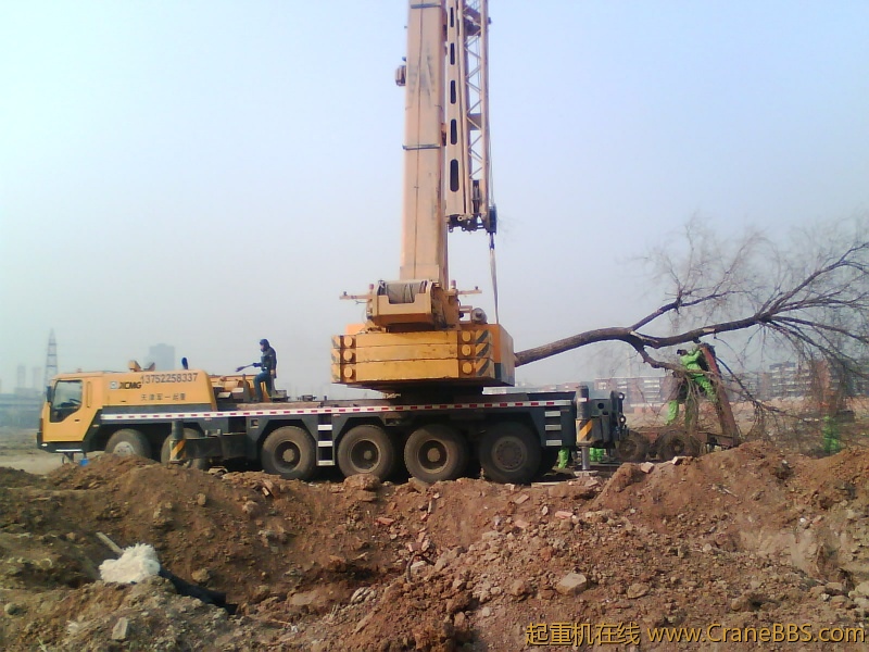 IMG1082A.jpg
