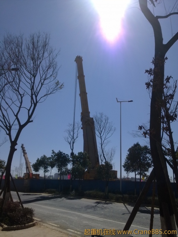 20110125045.jpg